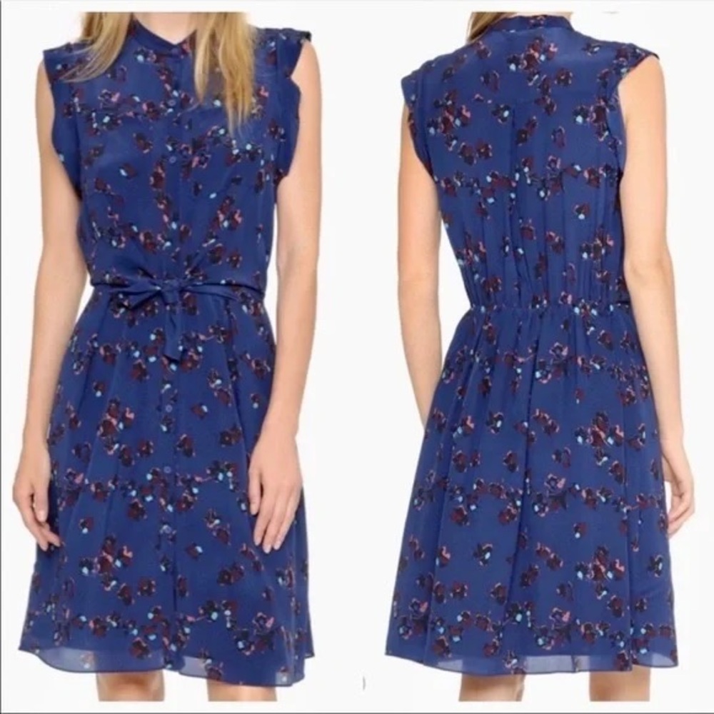REBECCA TAYLOR 100% Silk Pinwheel Posy Blue Floral Dress
